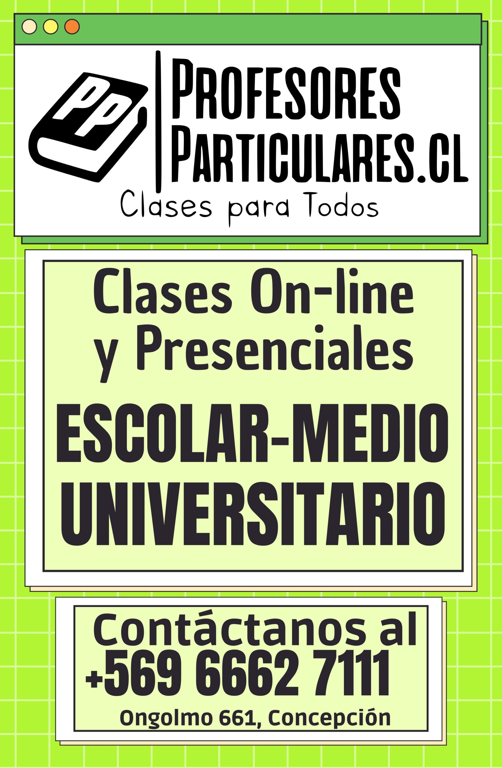 Profesores Particulares en Concepcion - Clases Particulares en Concepcion